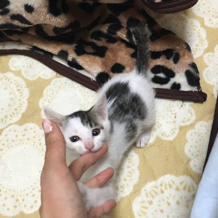 37c1dd93 19e0 48f2 b873 48c53d7d401c