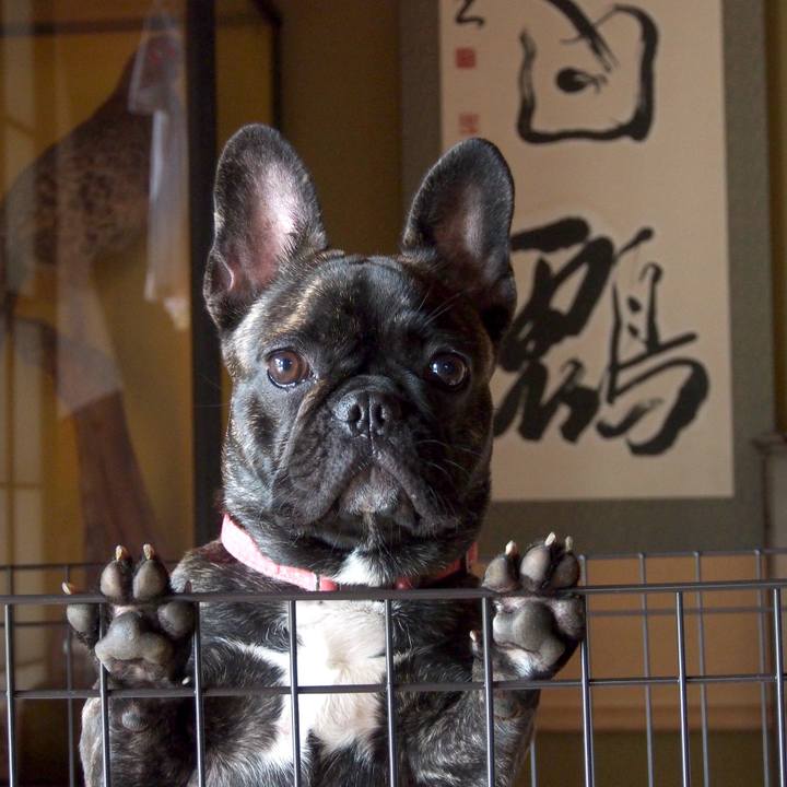 37c21f2f d897 46df 9111 022d94324bd2