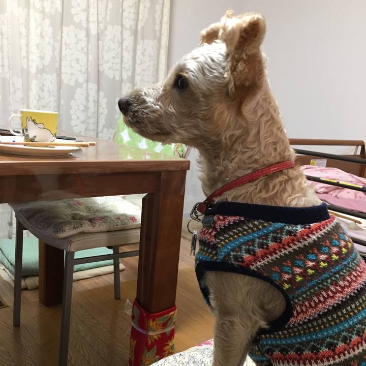 37c22314 1c1b 4599 b10b 0344905e5d75