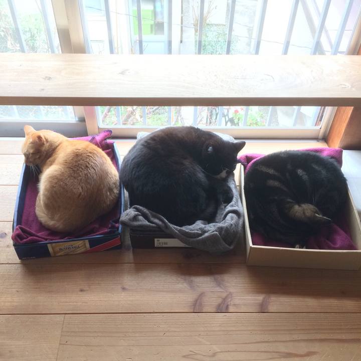 37c2285c f4c7 40fa ae2b 61a613a7f683