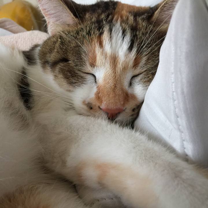 37c24fa8 b17a 4033 a357 e6b1596aef78