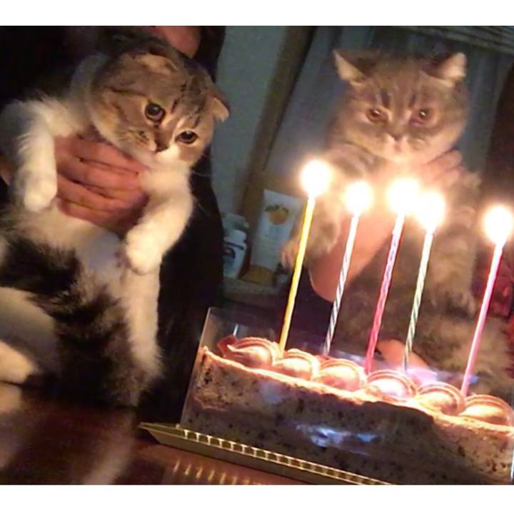 37c3cb26 d2c2 40cc a53a bd0fe0dc88bb