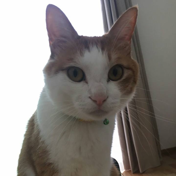 37c422c4 1118 4387 8abf d4ddc93ddf29