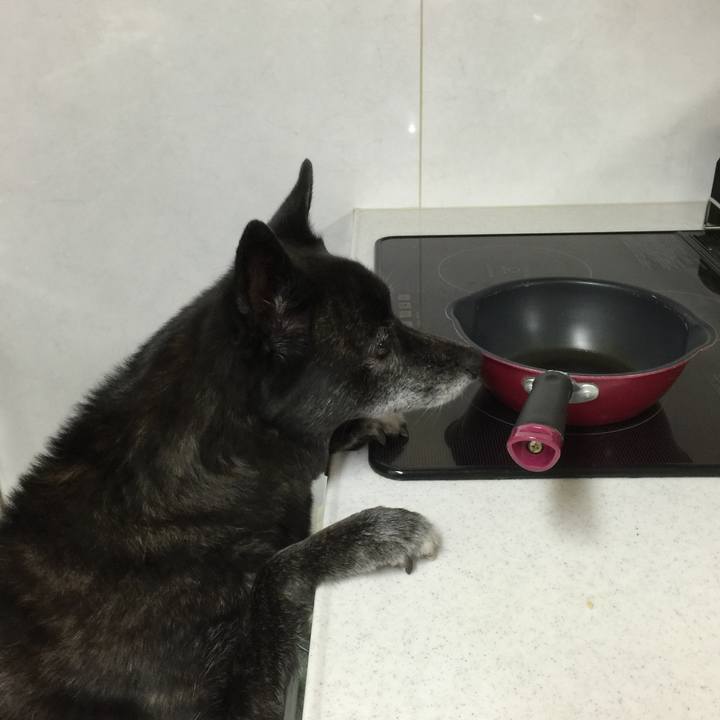 37c4bb31 97eb 4b23 a435 f5266e8041ac