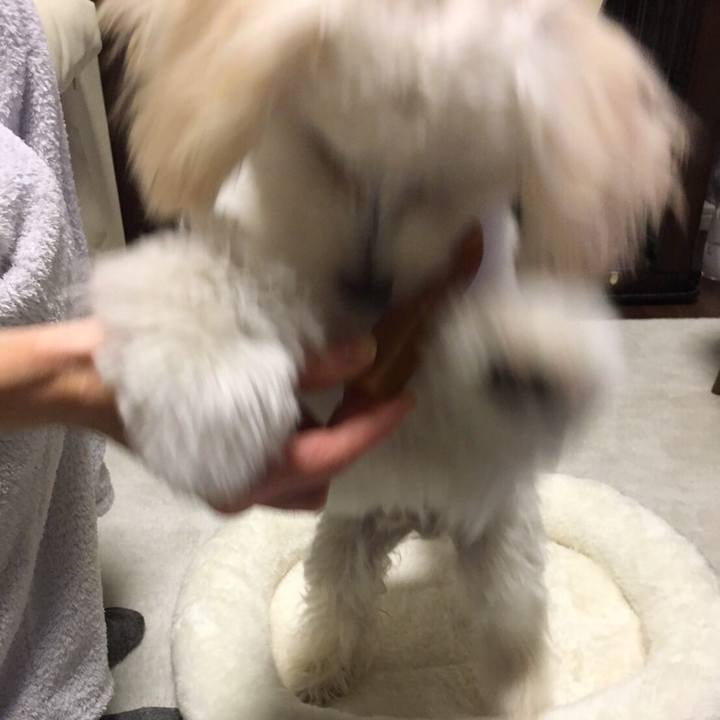 37c4dd1c 4b11 4bcc 915e 66002bf5107c