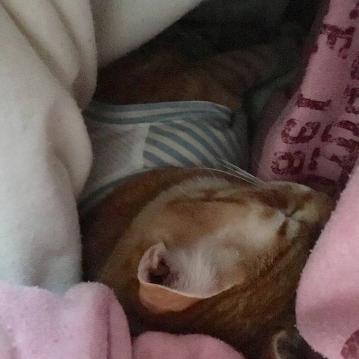 37c54597 c1c3 494b baf3 014b6fc74d21