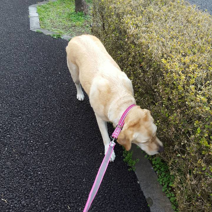 37c54693 33b8 4550 9ada 523cd9bb23e2