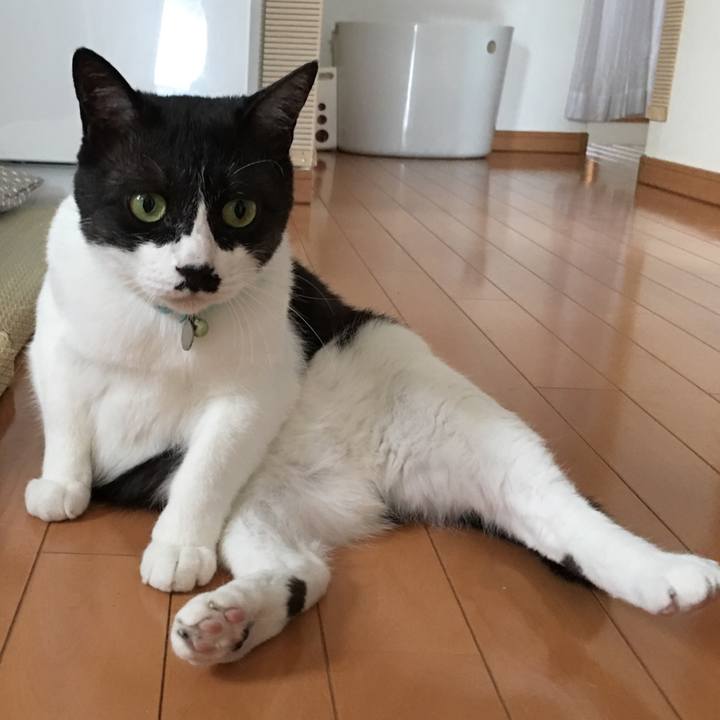 37c551b4 7aa8 41f4 965d d2627fa673aa