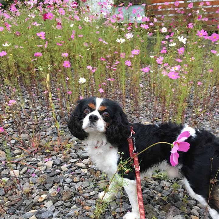 37c56f70 bdb7 44cc 9806 656285afb492