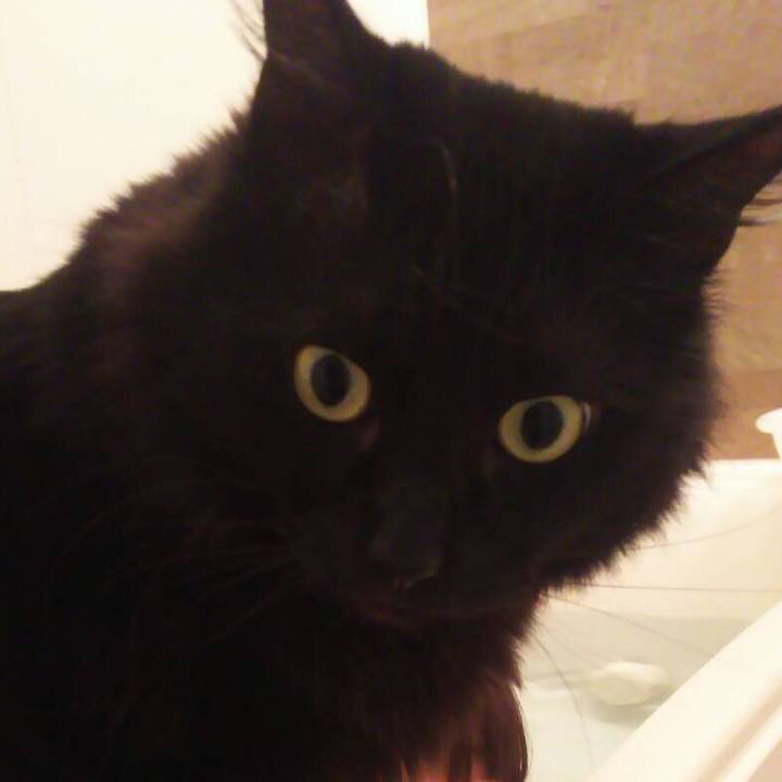 37c5f851 e8bf 4be0 99be 5fc93906fe91