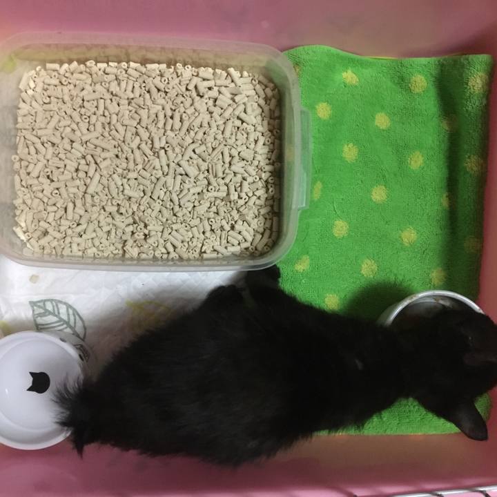 37c6bee8 6f0e 49ea 8ddb 32a35c53f680