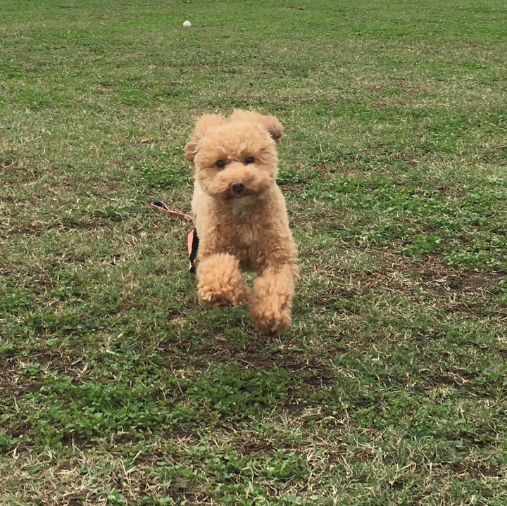 37c6d27d df0f 41a3 8cad 12dc1e67a9b4