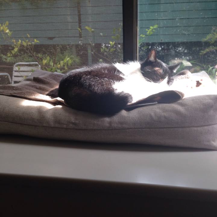 37c70057 ecde 4d03 bf27 3b6be2364efe