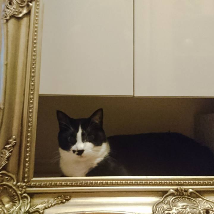 37c76b95 1142 480b 9502 c9879b606a8a