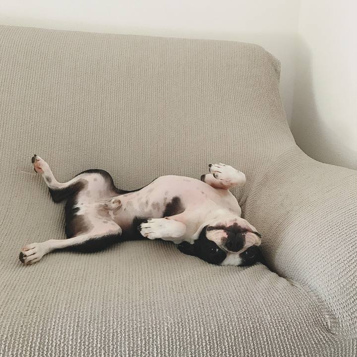 37c7733e d8ea 4203 afbf 2e66fce5a675