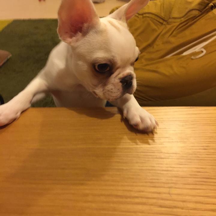 37c77b95 82ec 43bf a999 6a0ffa37aae5