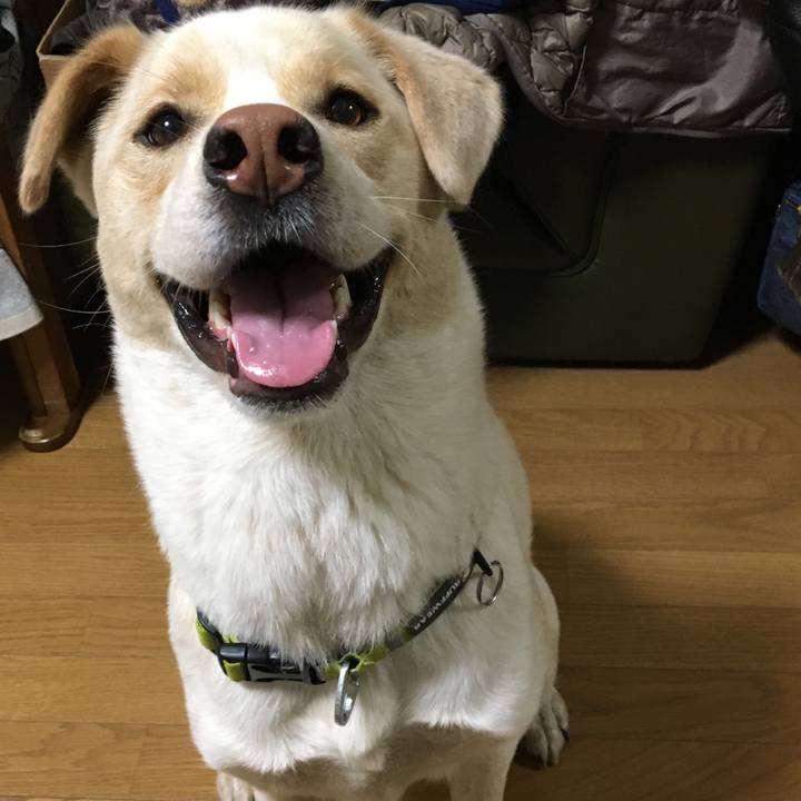 37c7851b 0b46 446f a950 39e13f0840db