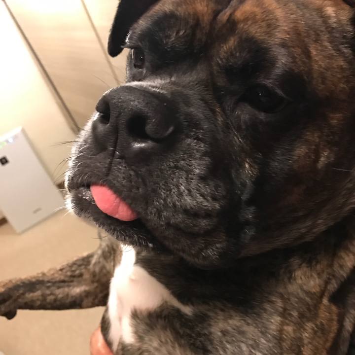 37c7e2b0 83bb 4dd5 81ac deff0c829937