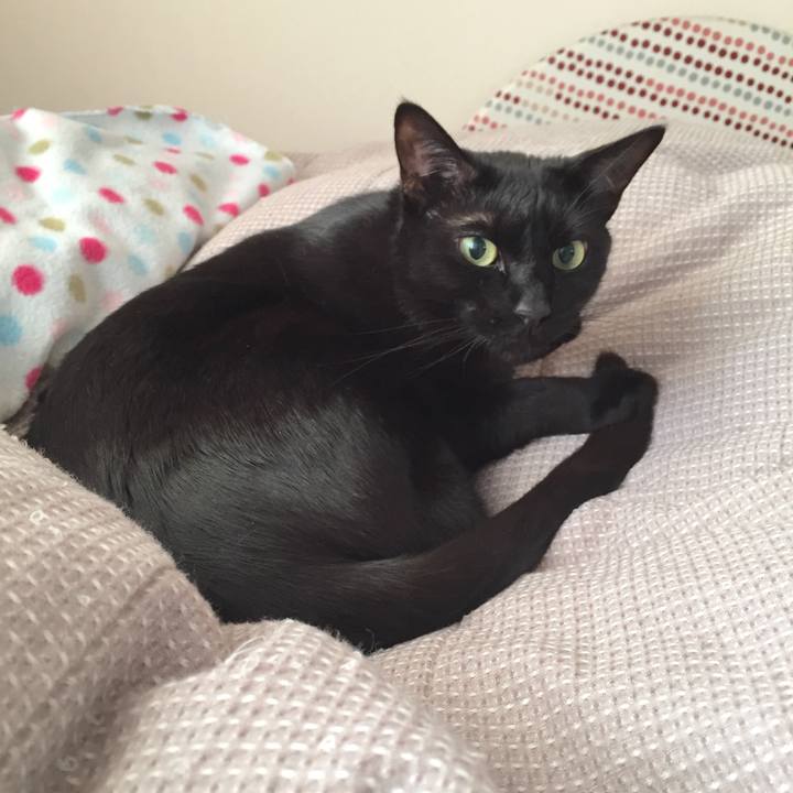 37c83671 dc52 4050 9376 fffd565bd124