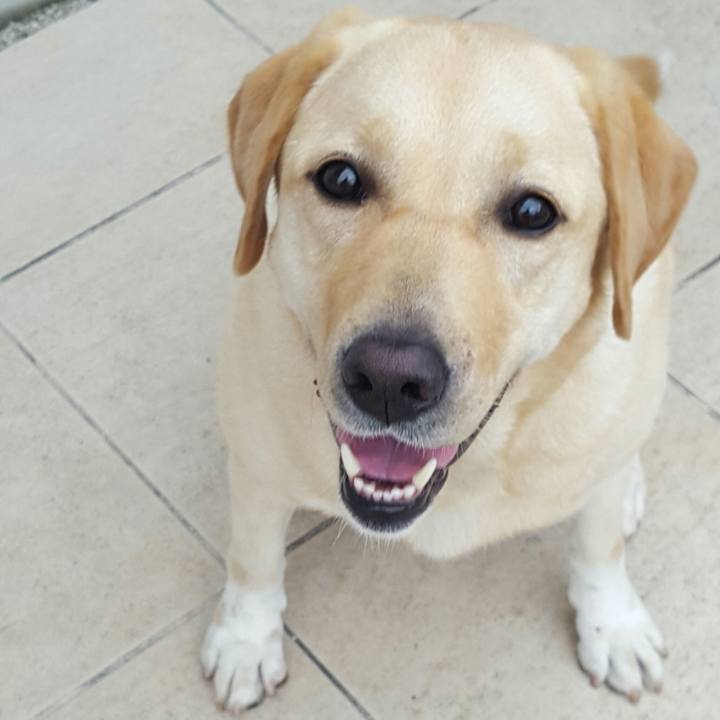 37c83794 c392 414b ac43 95958a6689bd