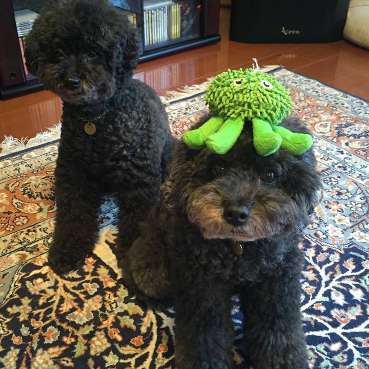 37ca6d4b fc26 45bc bafa 01da44acfb34