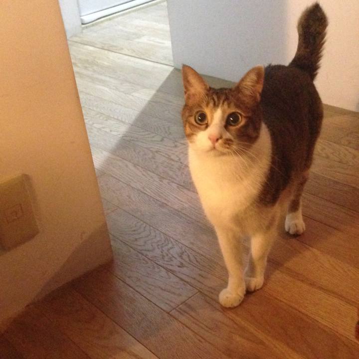 37caad6c 09a5 47c8 9d3a 46832dab49ea