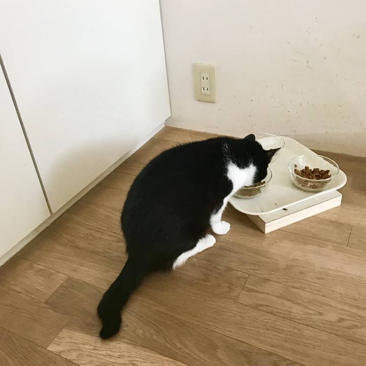 37cae854 e2c4 40b6 b7a2 acc8a141bf3c