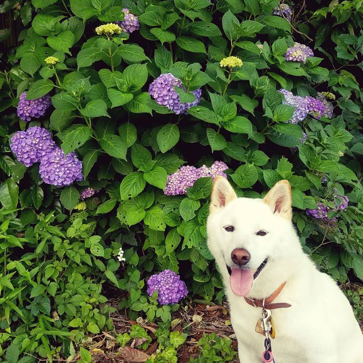 37cbd0d7 3e4b 4975 9000 cd8e1e703882