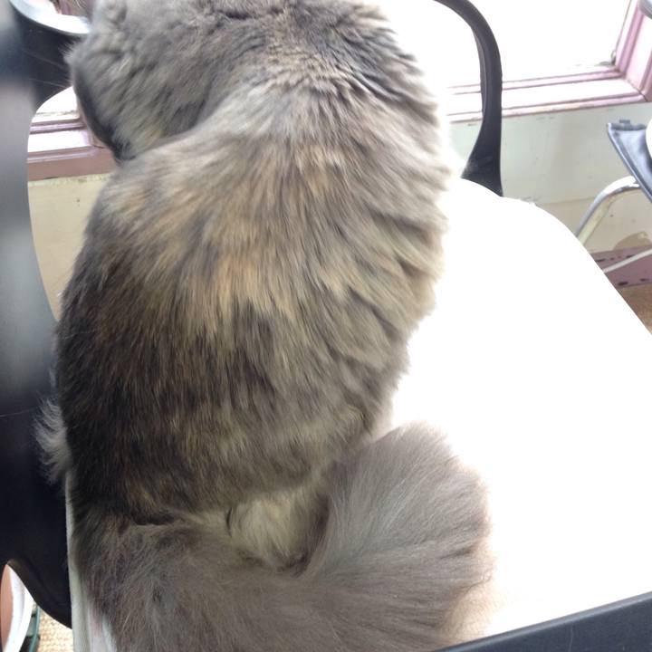 37cd951e 0639 4d9f 9b0f c646e2dc6613