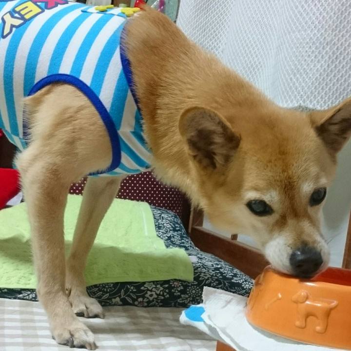 37ce1d14 0171 481a a5c8 025c58164800