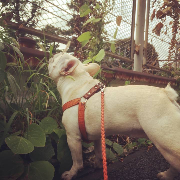 37ce4989 6d02 4976 8dbc 0f8d41afea6c