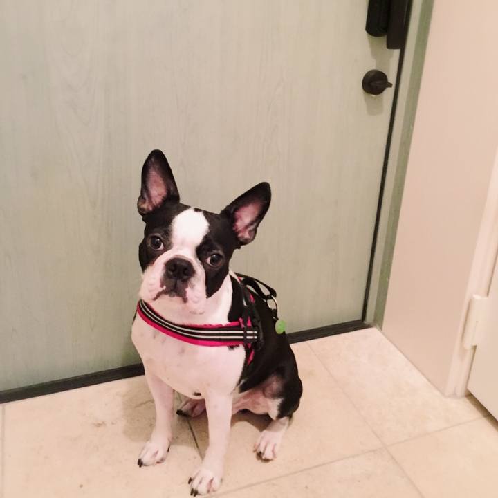 37ce9a0a c3df 41f7 b0f1 68aa4929f1a3