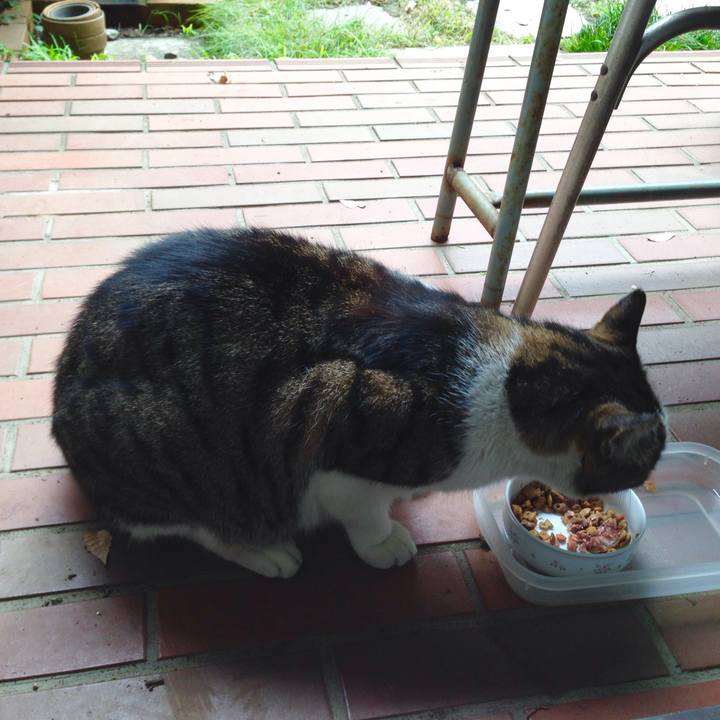 37cebb8f 6d6f 4e93 ba49 c5b820ab1575