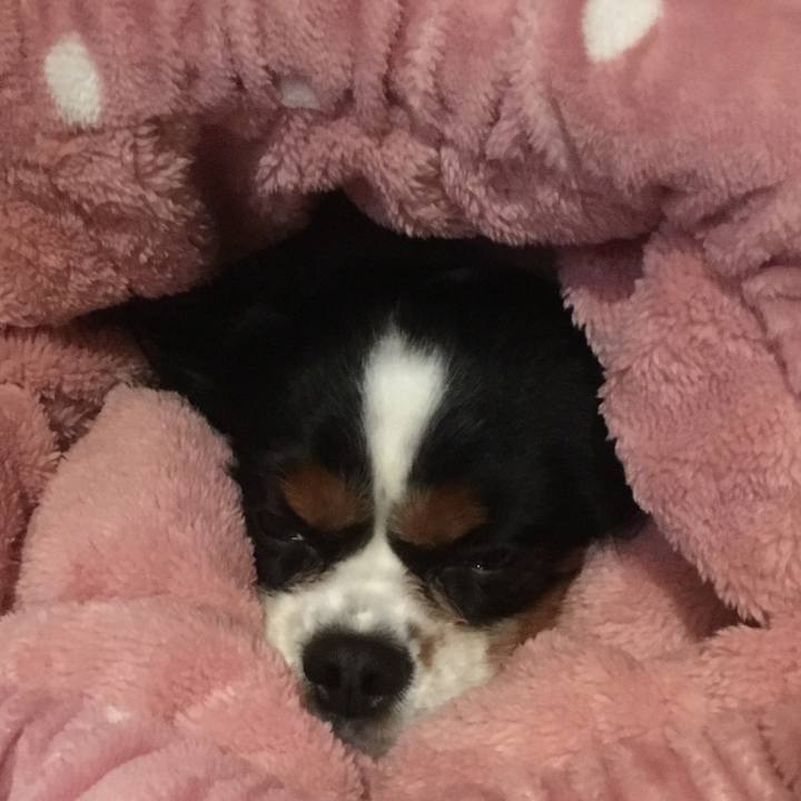 37cec4d3 cbf5 43f3 a5a7 1e15d46f4bba