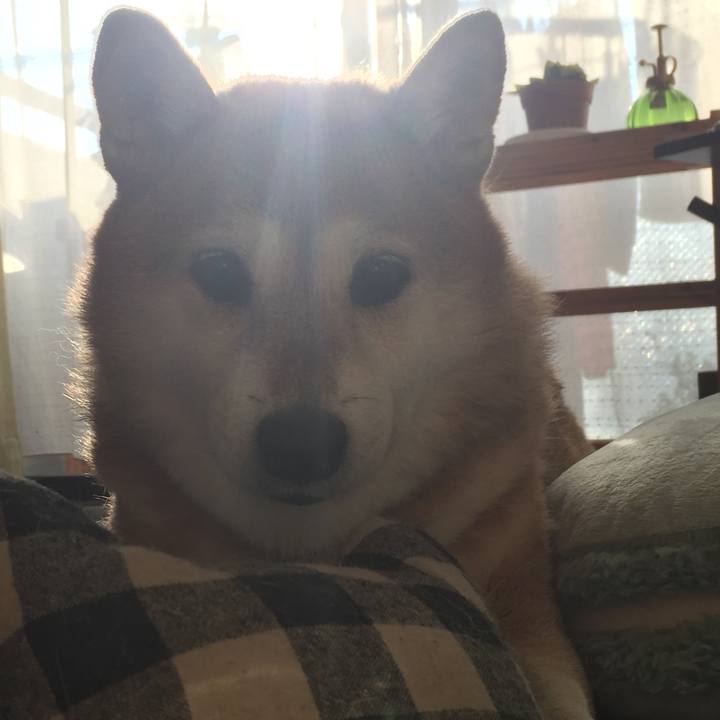 37cf162d 736f 4779 bbd2 33dc46a0b43c