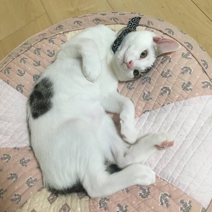 37cf2edc 8071 4983 9a16 376147fc38fa