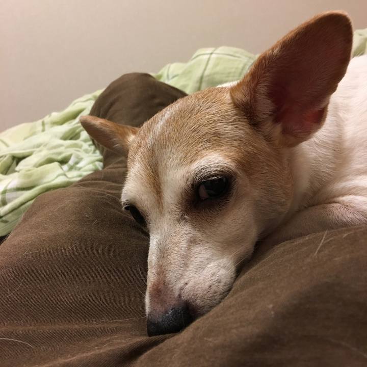 37cf51c0 c56e 4ecb 9ced bc089a427e6e