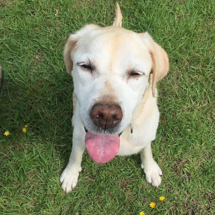 37d07d96 287e 475e b4e5 aafdf51d838e