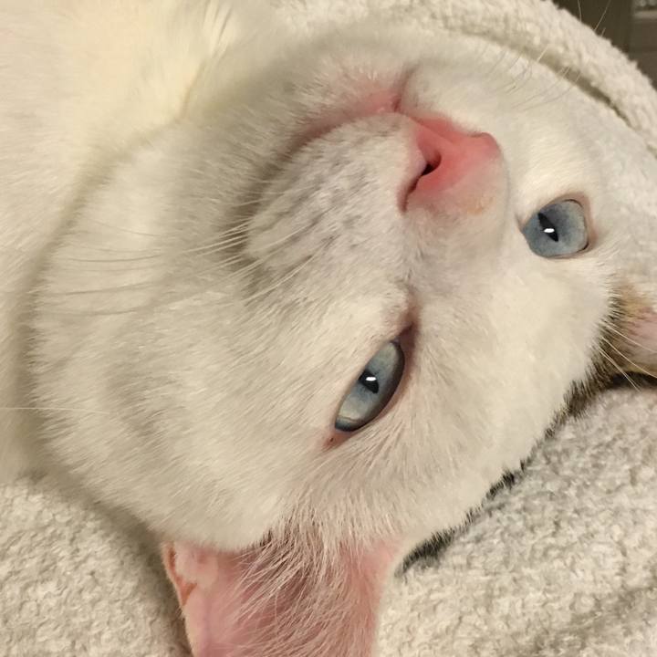 37d0b014 df05 47f7 8a2c a056c88ae16f