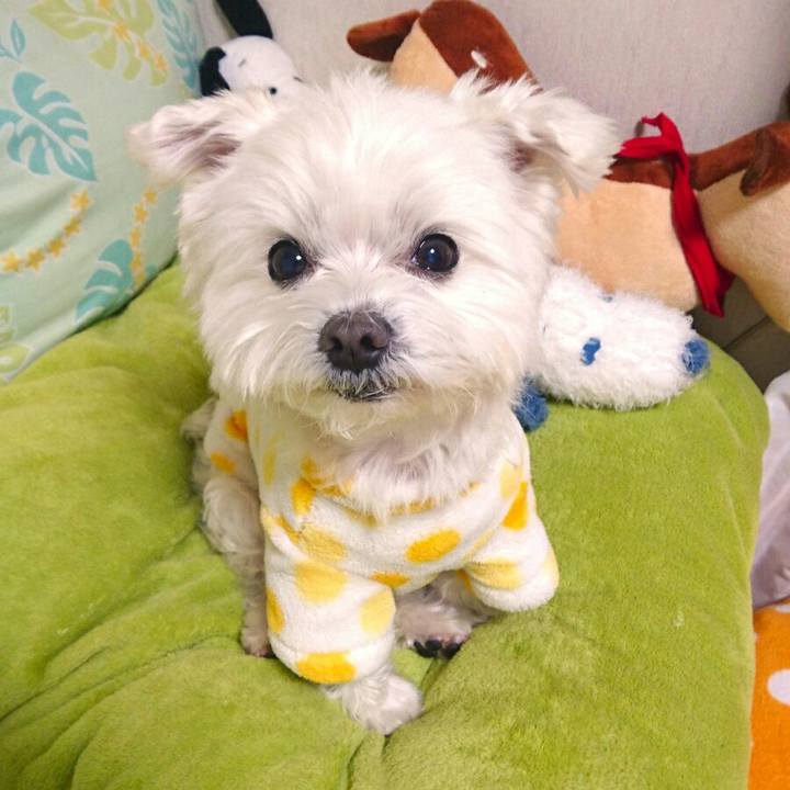 37d0f4fc 2644 45de b9ed 03edc93d3fad