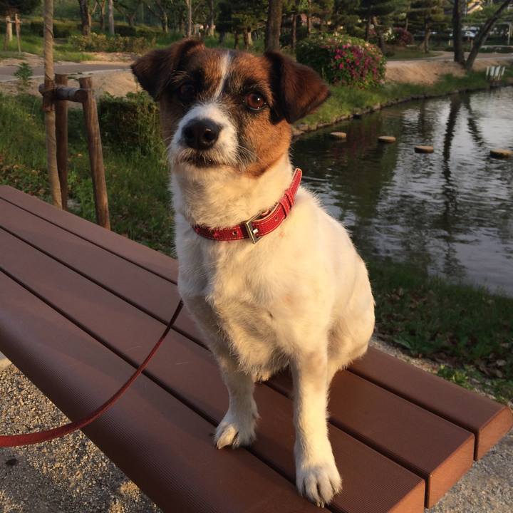 37d1efcc 3961 4285 a6dc c19ad8e01973