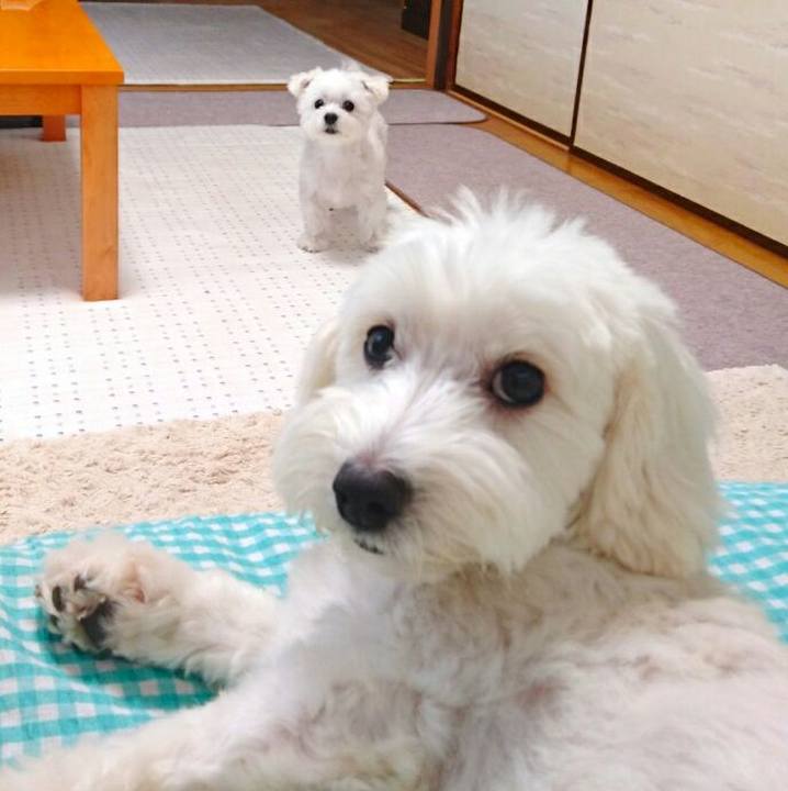 37d202be 6679 4a6c a06b 2f7295f19222