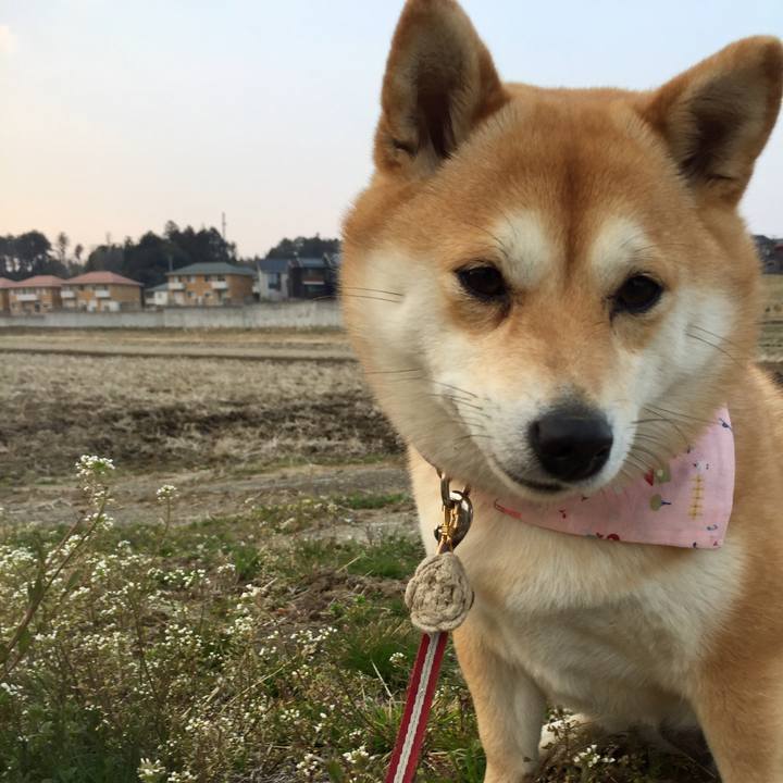 37d21099 10ff 48d4 bc65 2e13e421b70c