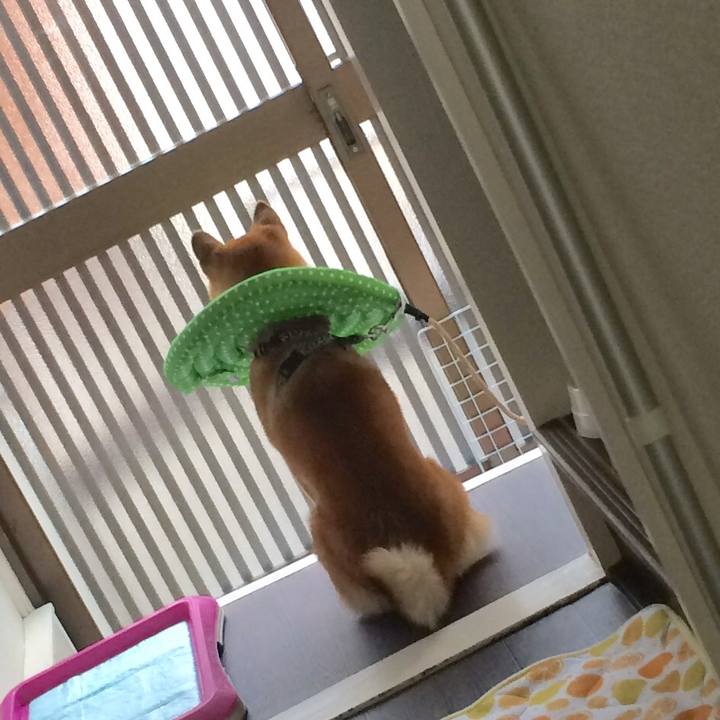 37d2f992 ccd7 4602 b755 0571245eb85f