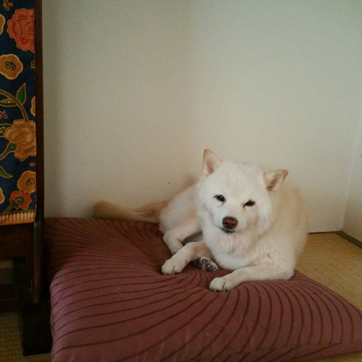 37d30160 7a7c 435e 96cc b9c5f4d65d55