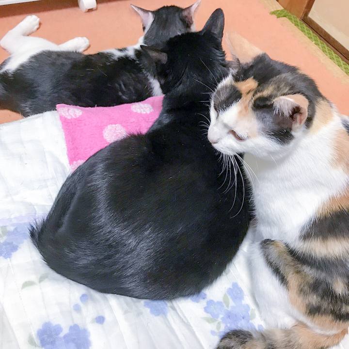 37d344c6 5a39 4bba 8836 fa4e71d2d13b