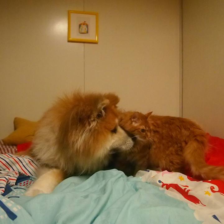 37d34613 d724 4786 844a d7af4775a3e2