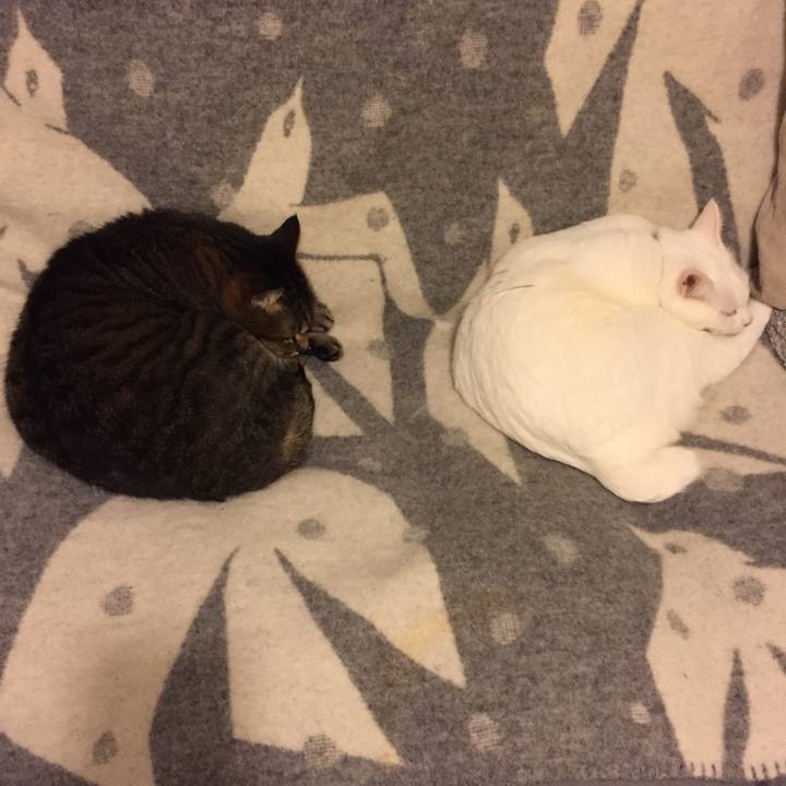 37d36708 d1c0 4825 a023 7e2f674d506a