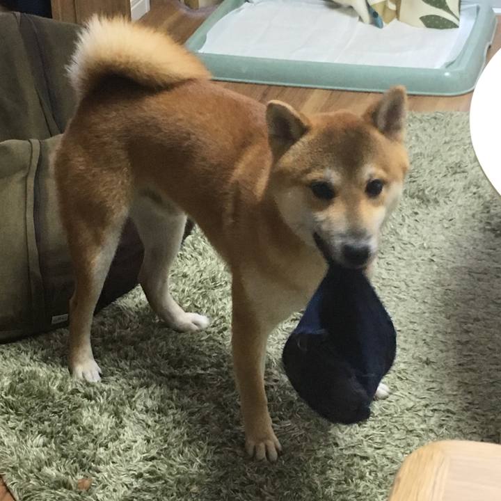 37d45e22 b2e5 4e72 9f2f 353bb7902360