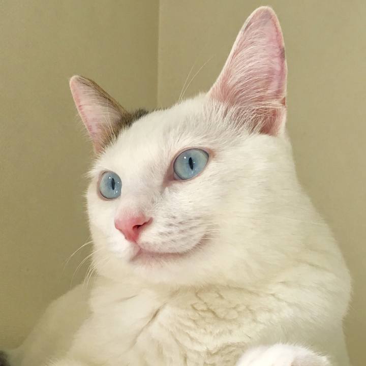 37d481ee 7621 4154 a3a4 1a15b563a3d7